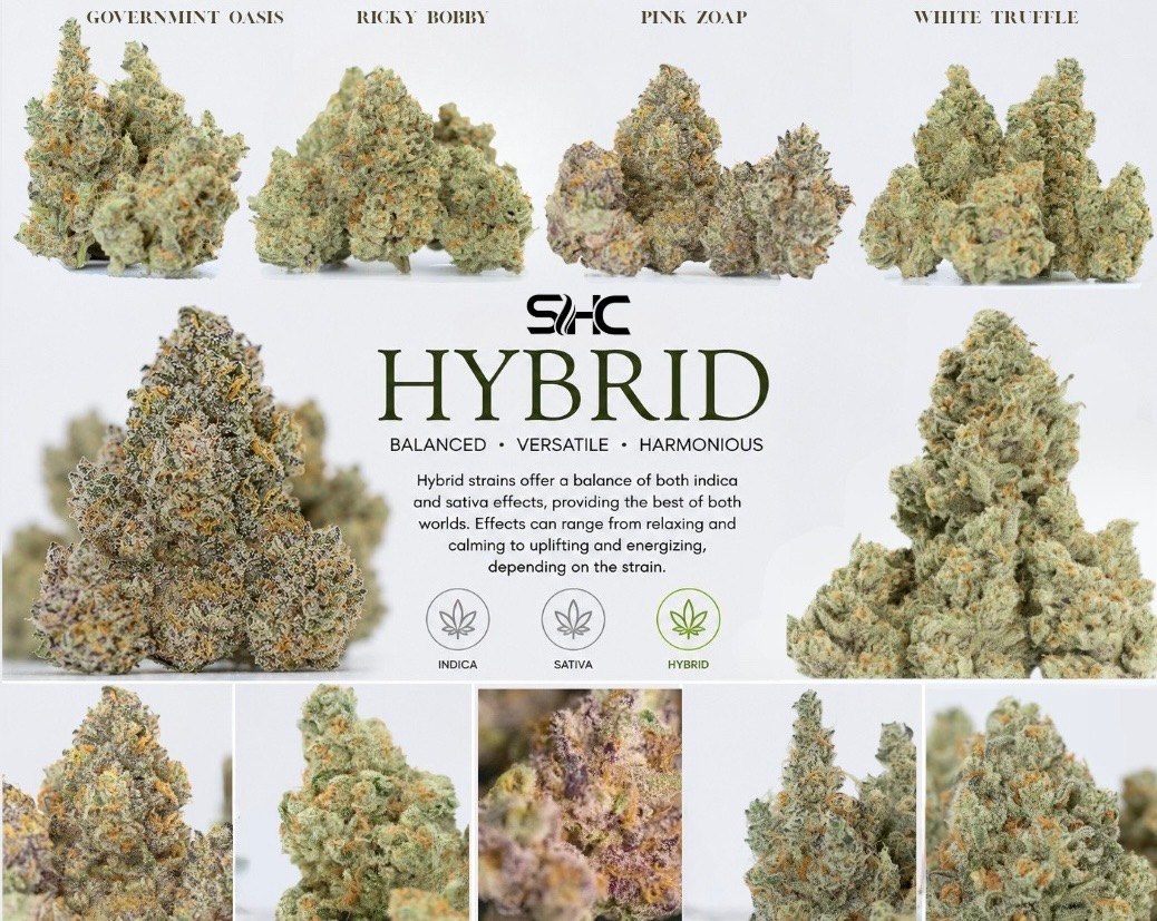 Southern Herb Co. hybrid strains — Governmint Oasis, Ricky Bobby, Pink Zoap and White Truffle