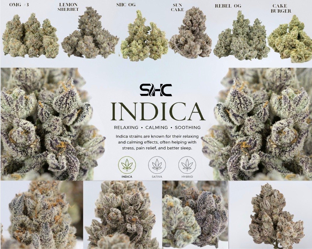 Southern Herb Co. indica strains — OMG #3, Lemon Sherbet, SHC OG, Sun Cake, Rebel OG and Cake Burger