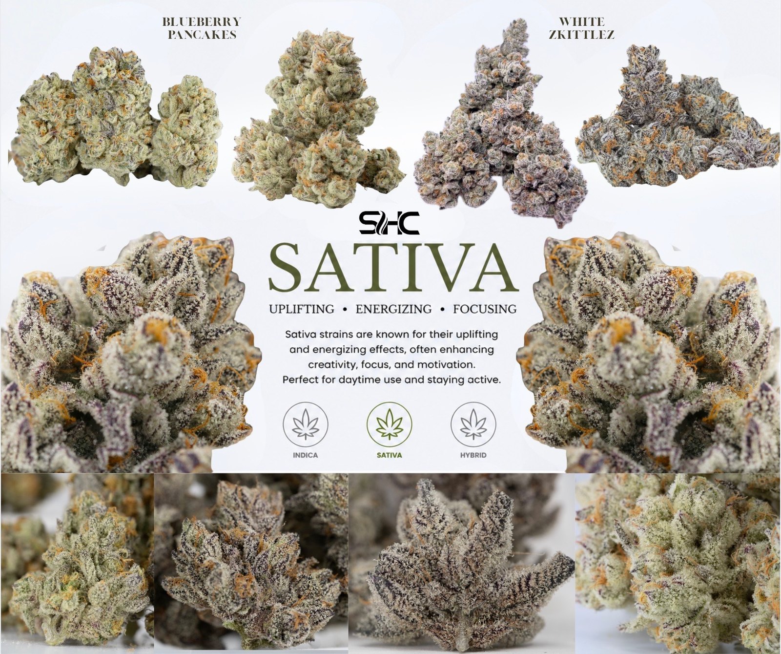 Southern Herb Co. sativa strains — Blueberry Pancakes and White Zkittlez